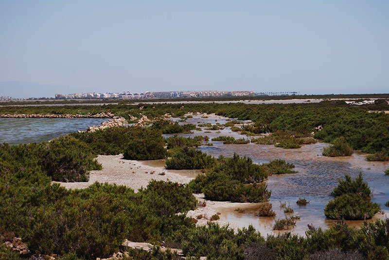 Punta Entinas-Sabinar Natural Park